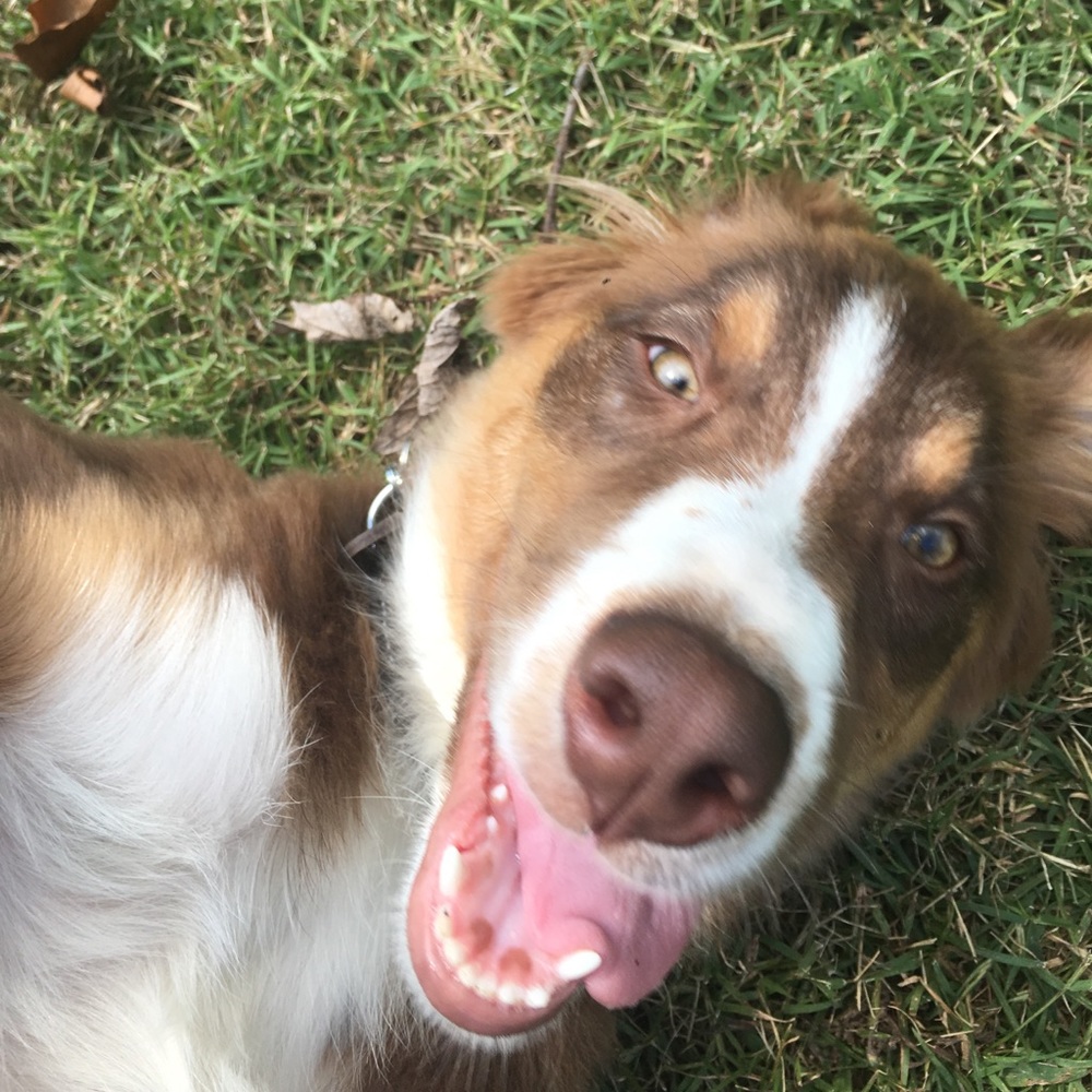 Meet your Posher, Emma